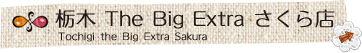 栃木The Big Extra　さくら店